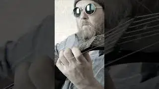 Гангста. Айда за мухоморами со мной.