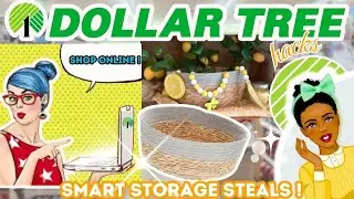 DOLLAR TREE SMART STORAGE STEALS | Available online too!!! 🤩💻📦💸🌳 #storagesolutions