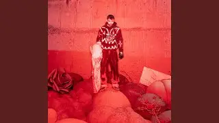 16 TONNA FEHÉR HÓ (feat. KizzaPing69)