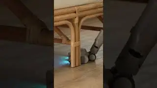 Effortless Fur-Free Home with Dreame Z10 Station