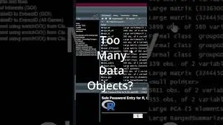 Managing Data Object in R