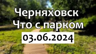 Черняховск. Что с парком (03.06.2024)