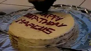 Marcus the Pug Eats His Birthday Cake Part 1