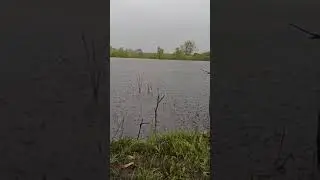 попали в ливень на рыбалке