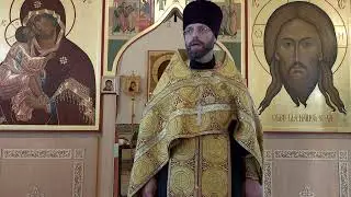 Дорога апостолов в Эммаус. Проповедь о. Димитрия 10.08.24