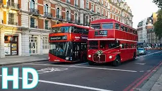 Bus Stock Footage | Royalty Free | London Bus Street | Queen Square Bus Station | No Copyright Video