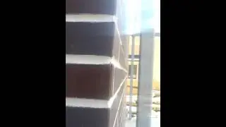 Швы(2)