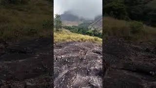 Eravikulam National Park 