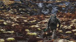 Boundary Pack
