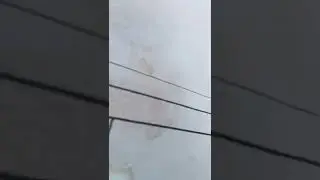 Журнал по выживанию Коутон.С