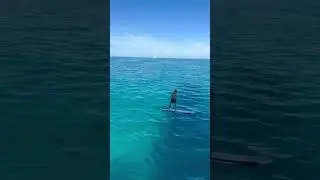 Slow sailing = towing fun! 