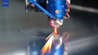 279525198 1275428749532113 4179032121791368979 n