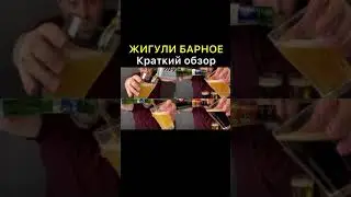 ОБЗОР ЗА 1 МИНУТУ: Жигули Барное 