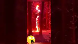 Respect⚡⚡⚡electric arc ⚡⚡⚡