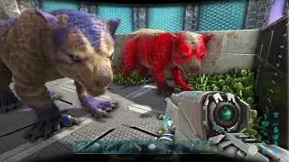 Thyla breeding! 2 MUTATED THYLACOLEO'S! - Ark: Survival Evolved (Ragnarok Map)