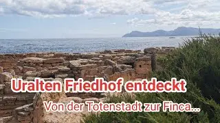 Son Real, Weine und Keramik...