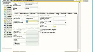 Cómo crear un socio de negocios en SAP Business One