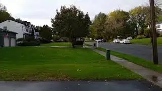 Наша американская школа :)