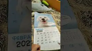 22 ноября 2021 г.