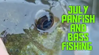 JULY SUMMER BASS N PANFISHING!