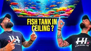 HOW WE INSTALLED A FISH TANK IN A CEILING