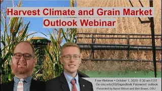 Harvest Climate and Grain Market Outlook