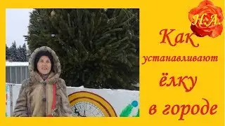 Как устанавливают Новогоднюю ёлку в нашем городе🎄🎅