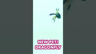 🚨 NEW PET ALERT! 🔮 DRAGONFLY! 🌱 Adopt Me! on Roblox 