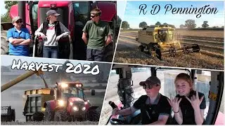Harvest 2020 | R D Pennington