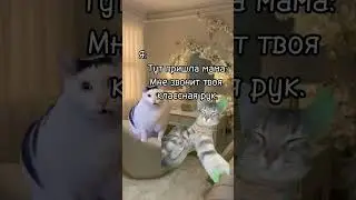 Пов: Звонит классная руководительница