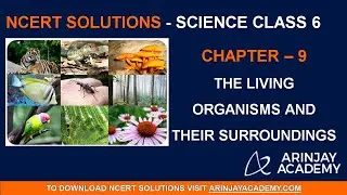 NCERT Solutions for Class 6 Science Chapter 9 The Living Organisms and their Surroundings