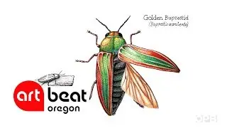 Science Illustrator Trades Tech Career For Art | Oregon Art Beat