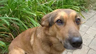 Рыбалка с Хомичём в прямом эфире