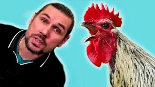Срочное обращение! Клюкер & Грибабас