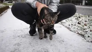 SNOW DAY
