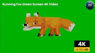 Running Fox Green Screen 4K Video #animation #greenscreen #fox #animals #animalgreenscreen #editing