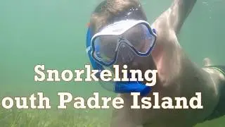 Snorkeling in South Padre Island