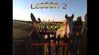 Lesson 2  Import statement  A greenhorn's guide to Java