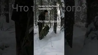 Зачем я хожу в лес?
