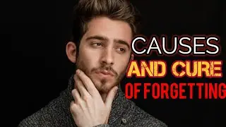 how to stop forgetting everything.