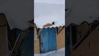 поем и дальше полечу🤩