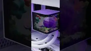 Check out the TRYX Panorama 360 AIO!