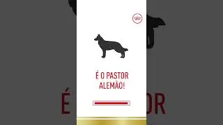 ROYAL CANIN® - Que raça é essa?