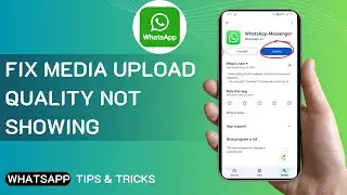 How To Fix Media Upload Quality On WhatsApp Not Showing Android/iPhone
