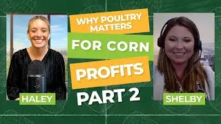 Why Poultry Matters for Corn Profits Part 2