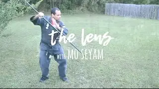 The Lens: with Mo Seyam (part 3 of 3: Vegan For the Ani-mo-s)