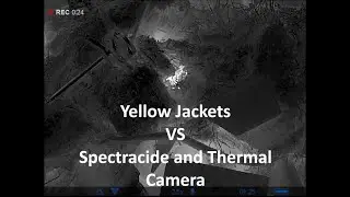 Yellow Jacket Spectracide on Thermal Camera (White Hot)