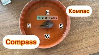 Компас из иголки и листа