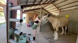 MEET MY HORSES 🐴! | AMOURANTH 