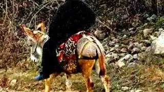 ВОТ И ПРИШЛА ВЕСНА - КРАСНА ... НА РОДИНУ КИРГИЗСКУЮ